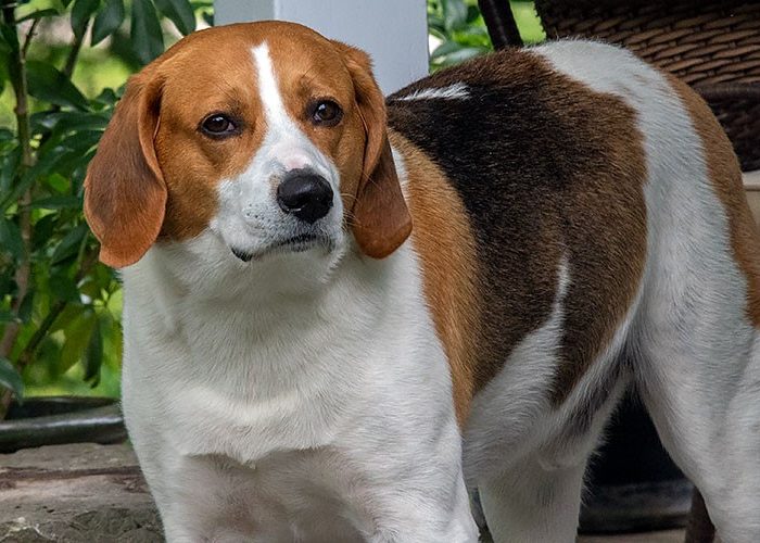 Business Slowdown? How AI and SEO changes are impacting your online visibility