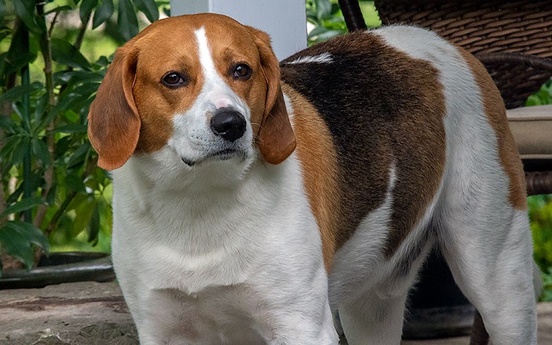 Business Slowdown? How AI and SEO changes are impacting your online visibility